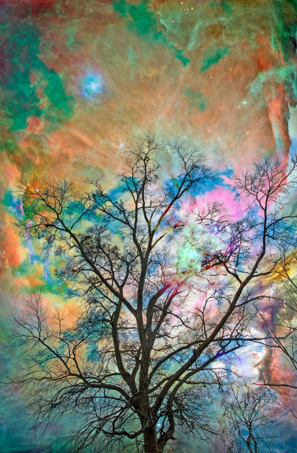 cd052b45-2947-47ec-d398-9f7303a63208